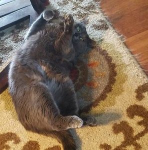 Meet your Posher, Scott